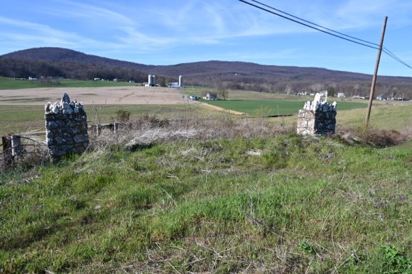 2023-04-02_Orchard_JAK_1840