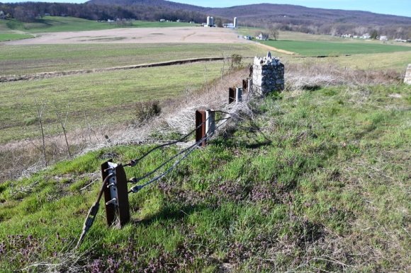 2023-04-02_Orchard_JAK_1844