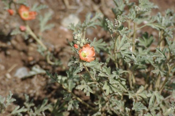 2003-06-17   DSC_1205