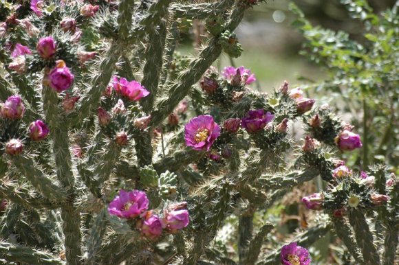 2003-06-17   DSC_1218