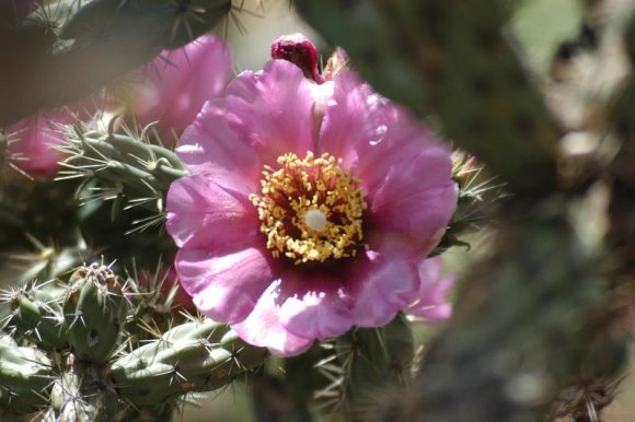 2003-06-17   DSC_1221